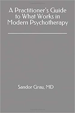 A Practitioner’S Guide To What Works In Modern Psychotherapy